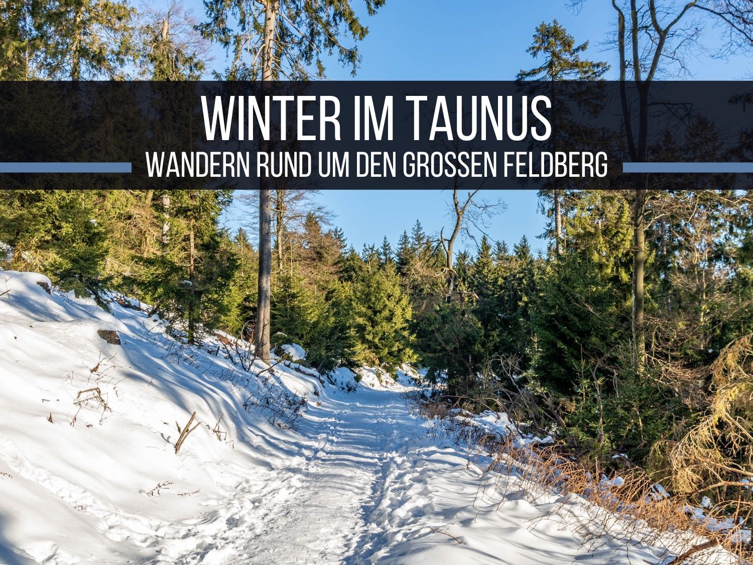 Winter im Taunus