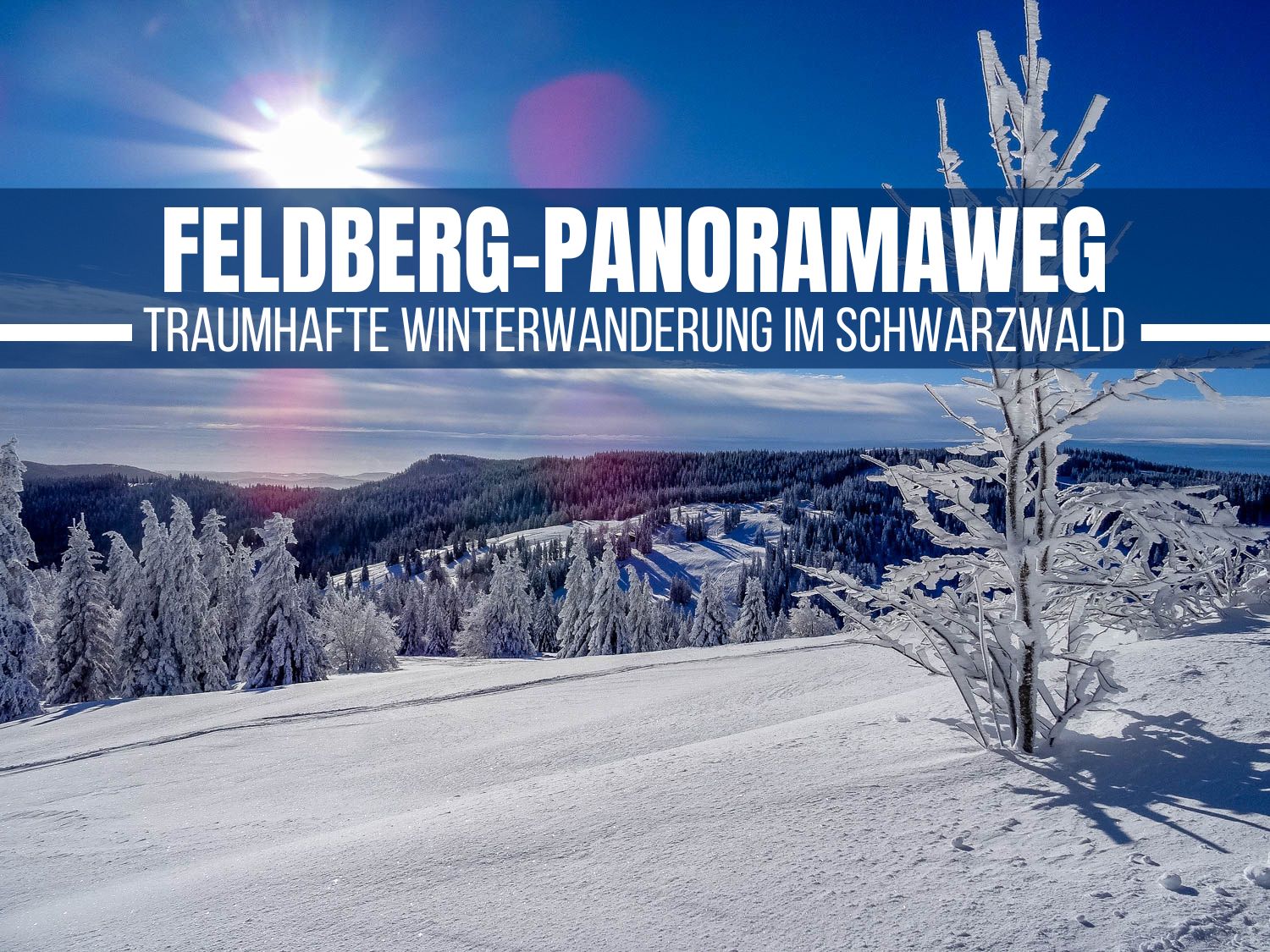 Feldberg-Panoramaweg